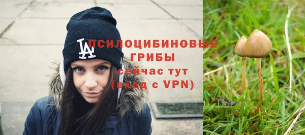 метадон Богородск